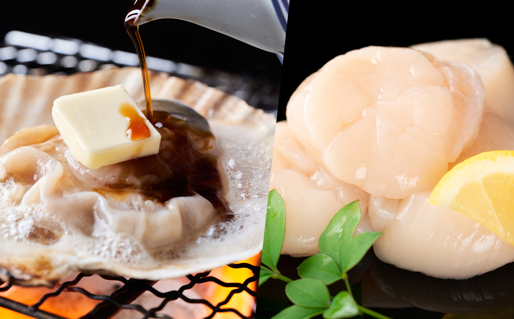 活ほたて約３kg（15～20枚前後）【上磯郡漁業協同組合】