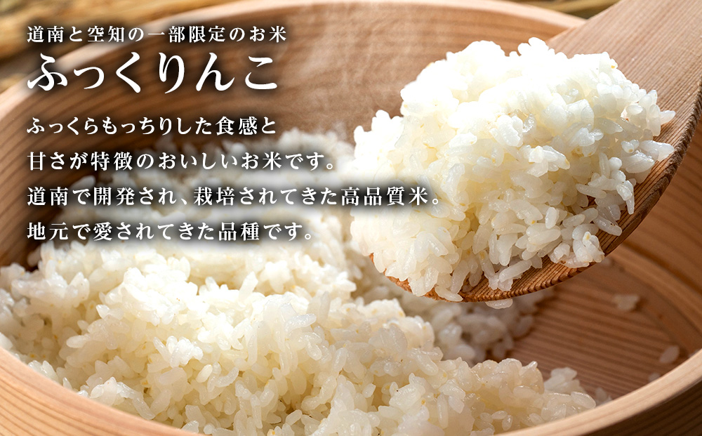 【令和7年産新米予約】【定期便10回】ふっくりんこ 4kg 2kg×2《杉本農園》 お米 こめ 北海道米 北海道産米