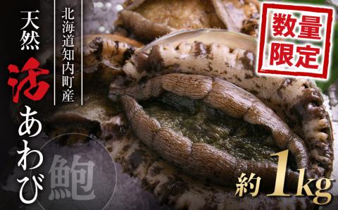 先行予約 11月より発送 あわび 北海道 知内産 天然活あわび 約１kg 上磯郡漁業協同組合