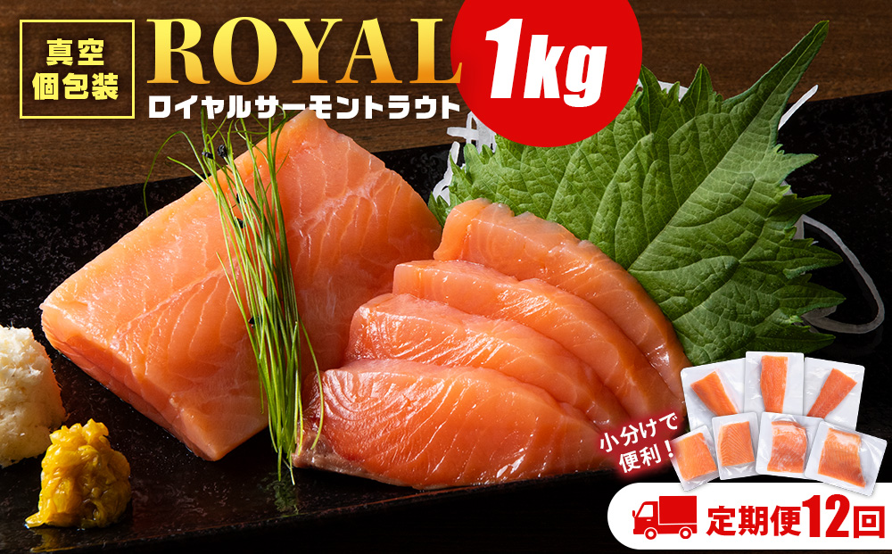 【定期便 12カ月】トラウトサーモン　1㎏☆小分け 刺身 サーモン 鮭 海鮮 魚 さけ