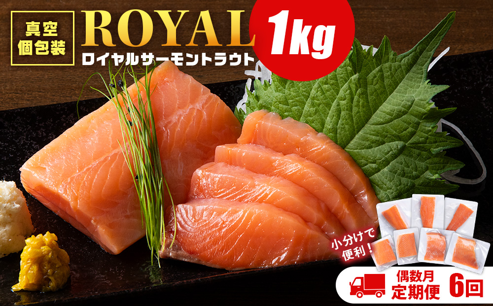 【定期便6回・偶数月】トラウトサーモン 1㎏☆（偶数月お届け）小分け 刺身 サーモン 鮭 海鮮 魚 さけ