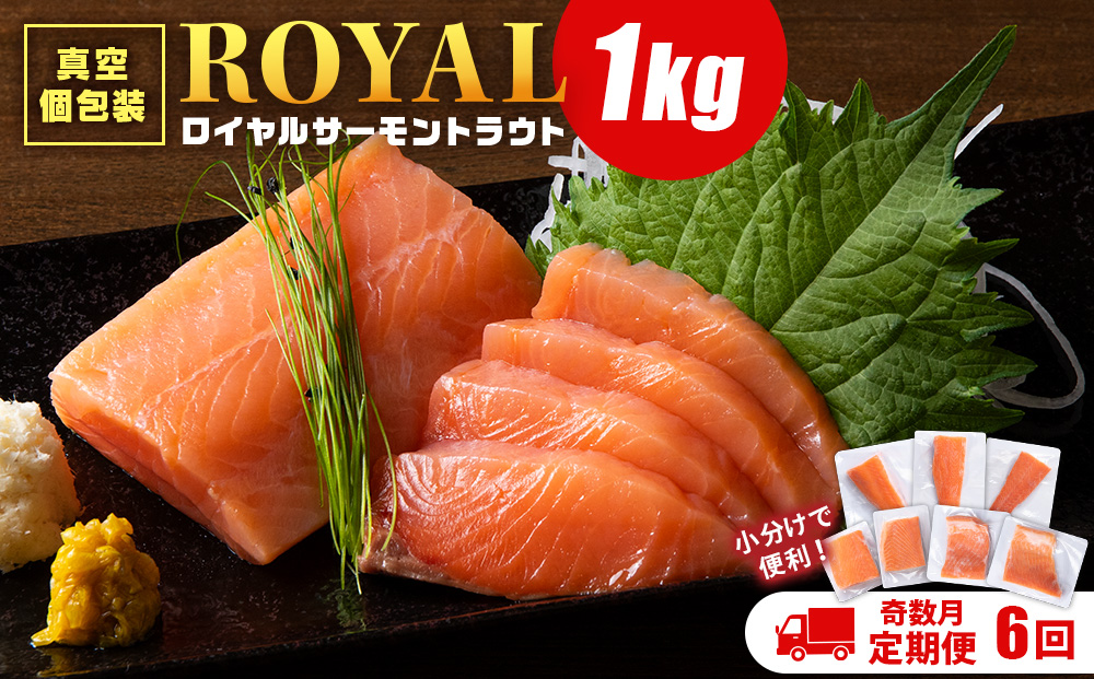 【定期便6回・奇数月】トラウトサーモン 1㎏☆（奇数月お届け）小分け 刺身 サーモン 鮭 海鮮 魚 さけ