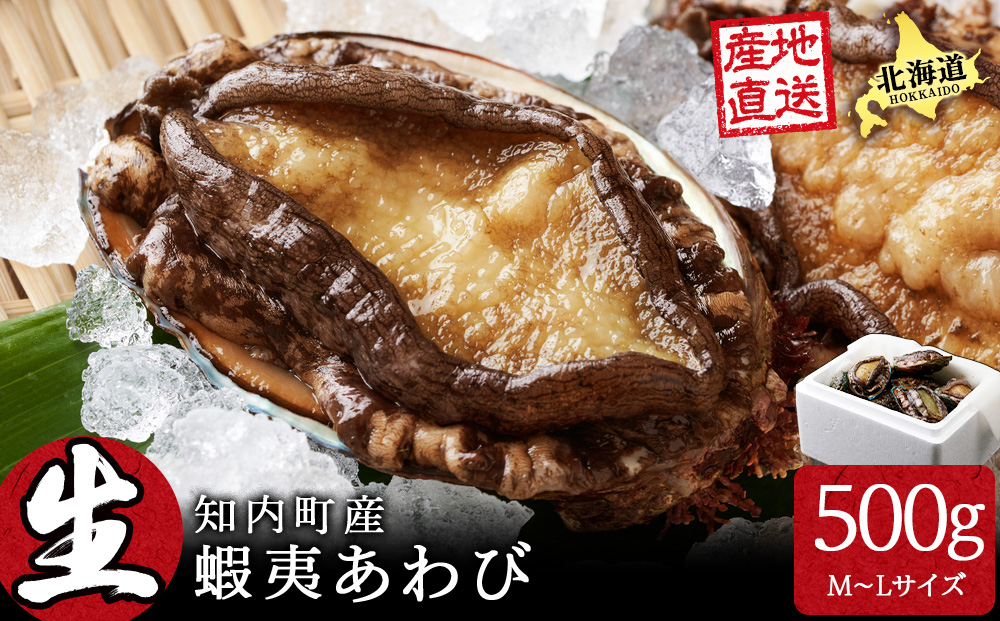 北海道 知内産 天然活あわび約500g（M～L詰め合わせ）≪上磯漁業協同組合≫