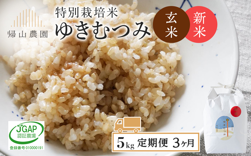 【令和8年産新米予約】【定期便3カ月】玄米「ゆきむつみ5kg」特別栽培米産地直送《帰山農園》 米 こめ 北海道産お米 北海道米 美味しいお米 北海道産米 道産米