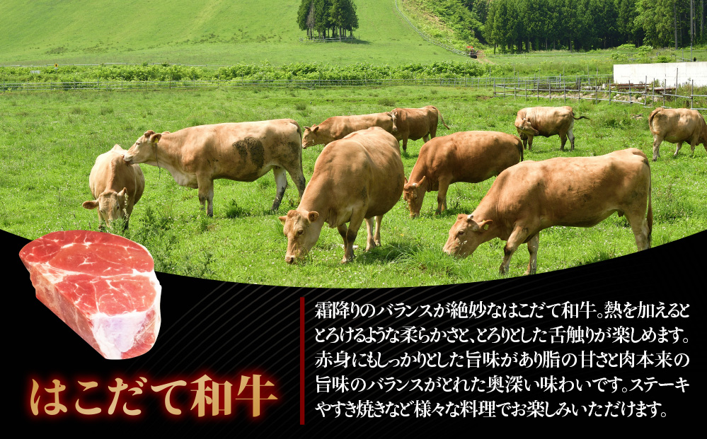 はこだて和牛 ブロック肉 800g 和牛 あか牛 牛肉 お肉 ビーフ 赤身 ネック スネ ウデ 国産 カレー シチュー 冷凍 お取り寄せ ギフト ご当地 グルメ 久上工藤商店 送料無料 北海道 木古内町　 牛 肉 お肉 赤牛 ブロック カレー シチュー