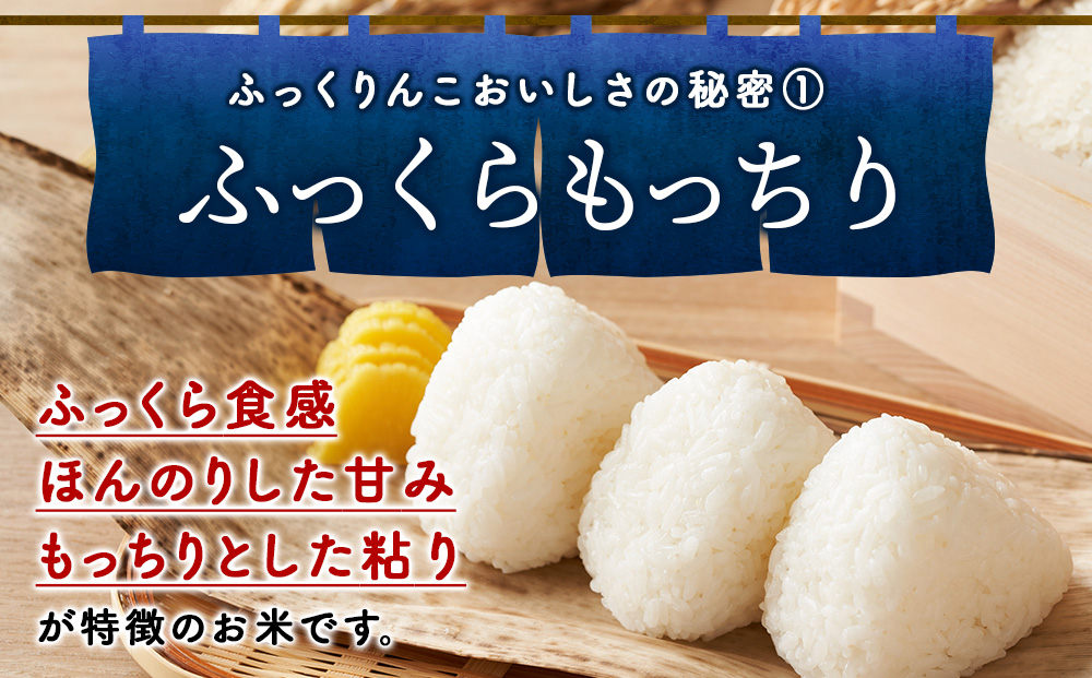 【9ヵ月定期便】北海道 木古内町産 ふっくりんこ 5kg 家計応援米　北海道米　お米・ふっくりんこ・米・9ヶ月・9回