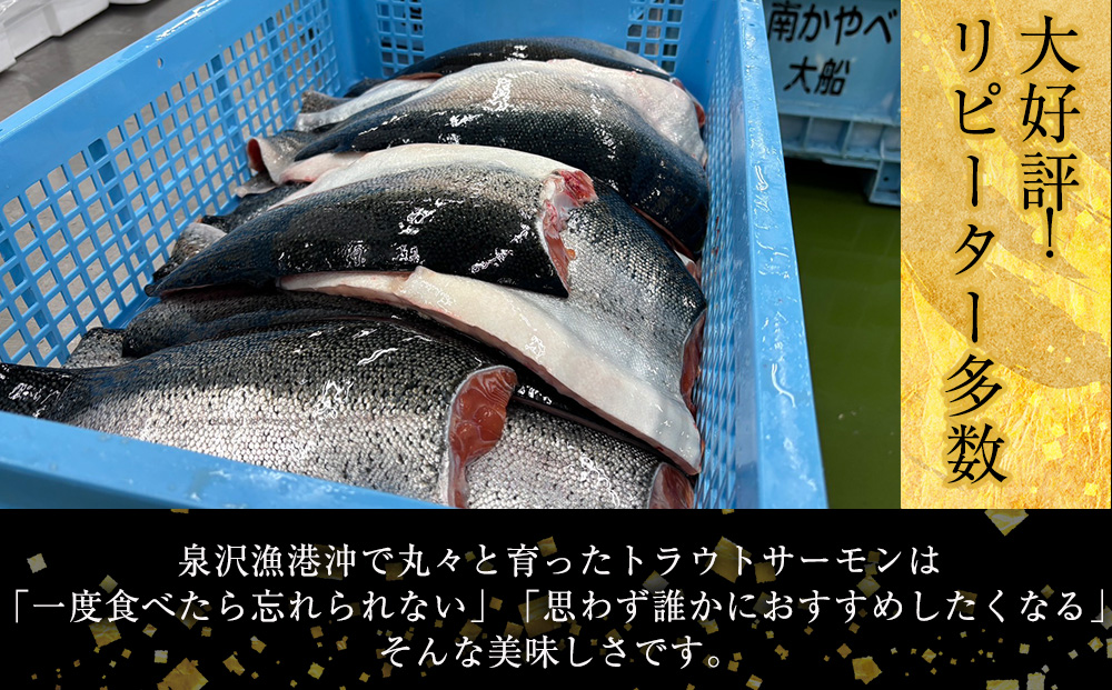 【三印 三浦水産株式会社】木古内町産サーモンフィーレ 半身 800g～950gサイズ