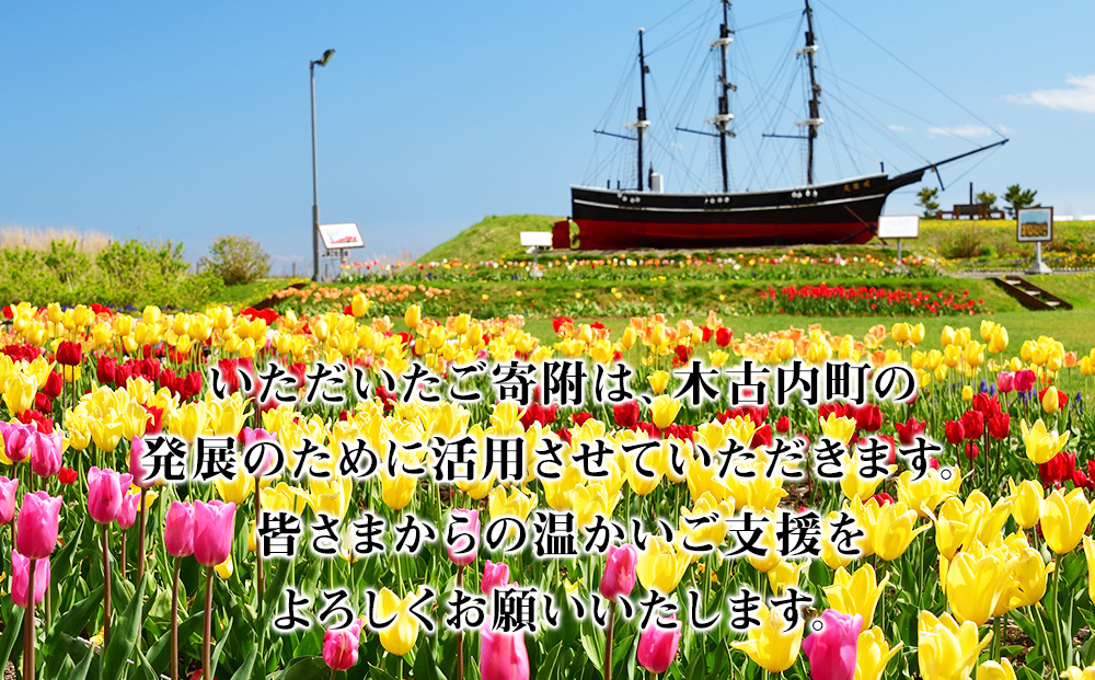 北海道 木古内町☆応援寄付金☆【返礼品なし】50,000円