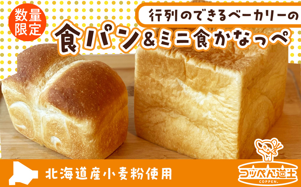 北海道 食パン ミニ食かなっぺ セット 北海道産 小麦 春よ恋 パン トースト 手作り 自家製 焼きたて 酵母 ベーカリー 朝ごはん 軽食 モーニング 道の駅 冷凍 お取り寄せ 人気 自家用 ギフト 贈答用 コッぺん道土 送料無料 木古内