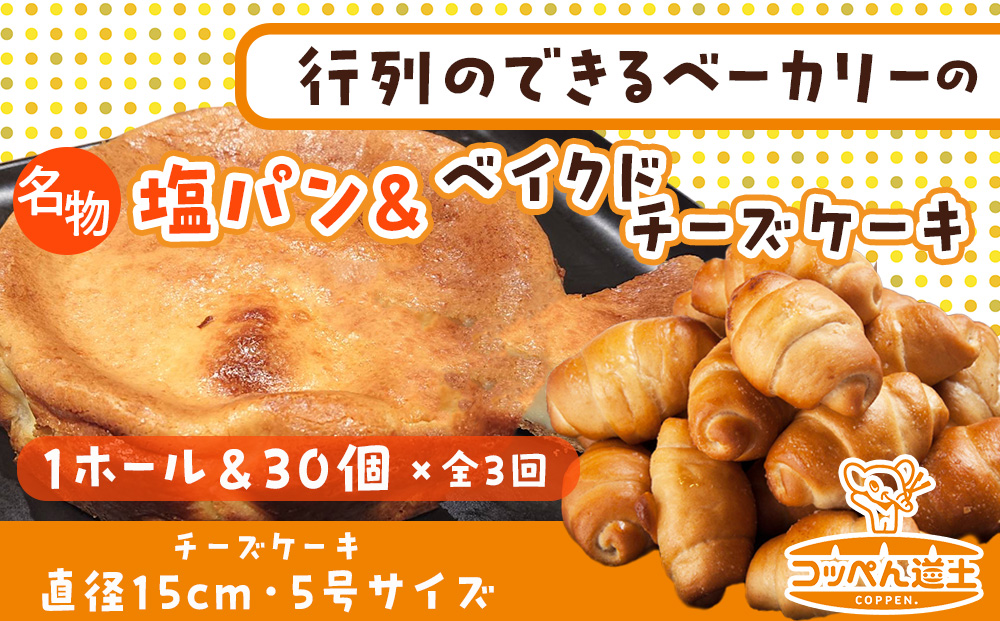 北海道 濃厚クリームチーズのベイクドチーズケーキ 1個 塩パン 30個 チーズケーキ ケーキ 洋菓子 焼き菓子 スイーツ デザート パン 手作り 朝食 おやつ  冷凍 お取り寄せ セット 人気 ベーカリー ギフト 贈答用 送料無料 木古内