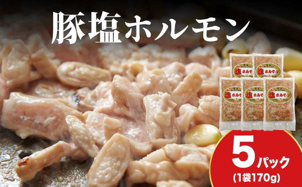 【久上 工藤商店】味付け豚ホルモン（塩）170g　5袋セット