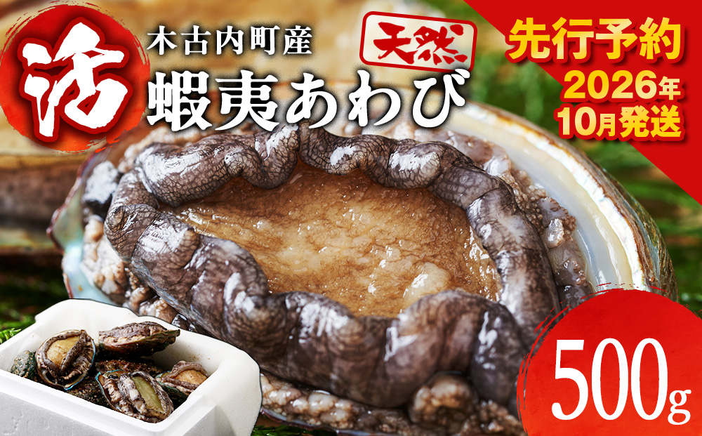 【2026年10月以降発送】活あわび500g 木古内産