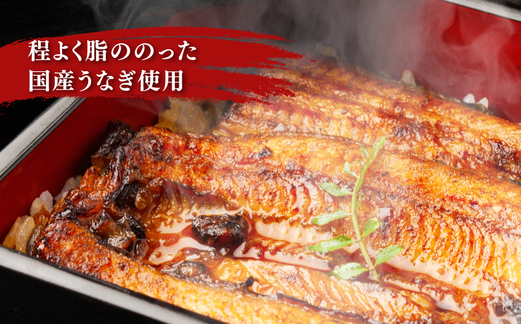 国産うなぎ蒲焼 NAAF001