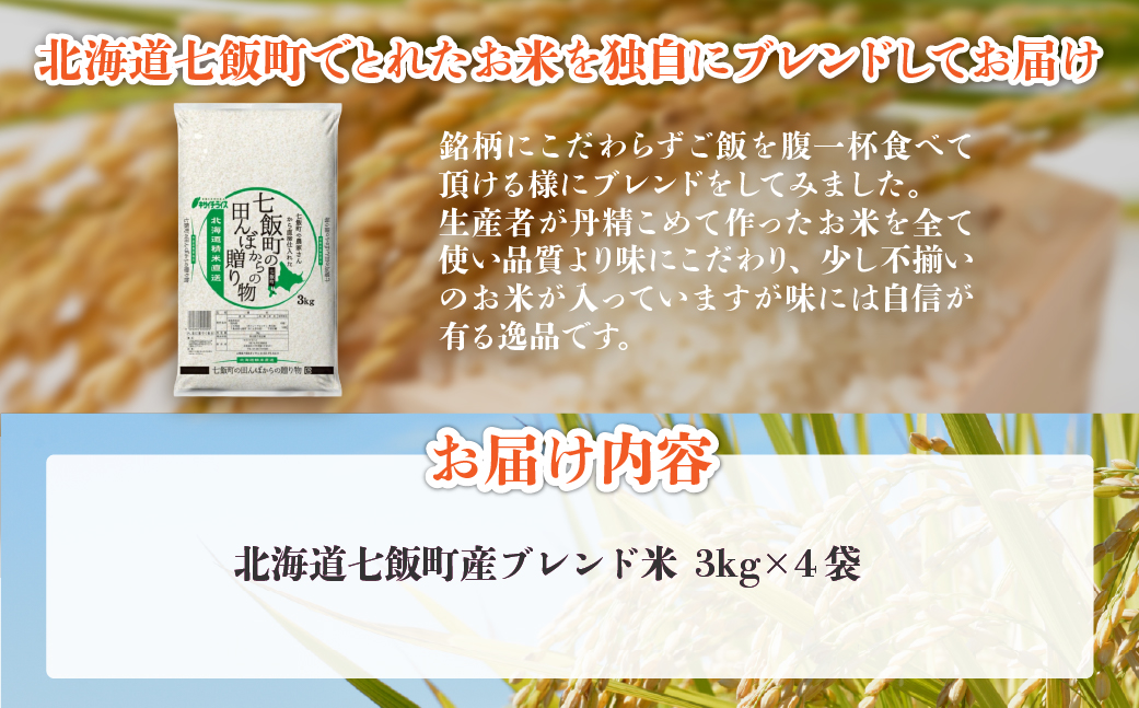 令和7年産（2025年産） 七飯町の田んぼからの贈り物3kg×4 NAAQ010