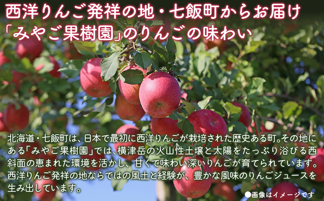 無添加 りんご果汁100% 1L×3本セット りんごジュース ストレート果汁 NAJ002