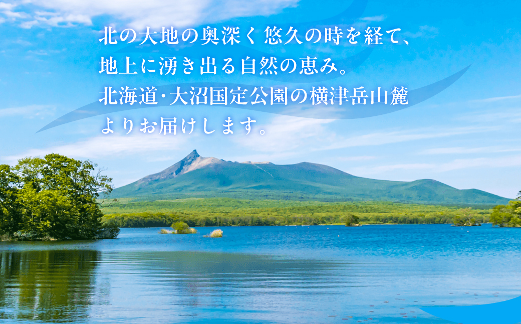 ミネラルウォーター夢水氣（290ml×40本）5セット 天然アルカリイオン水 軟水 NABI007