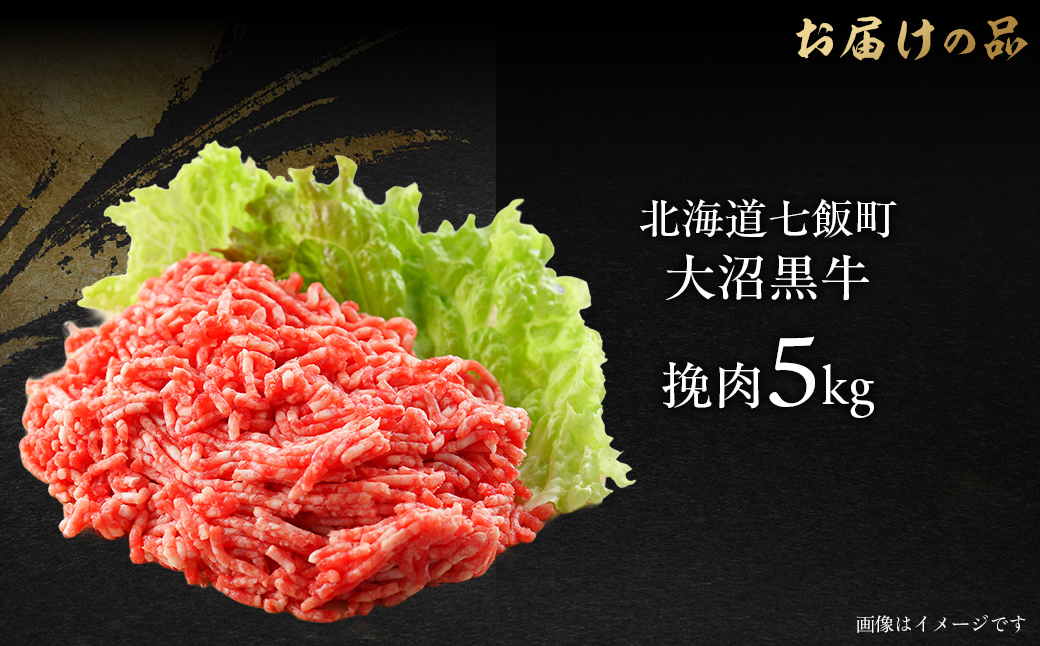 大沼黒牛挽肉　5kg 【ふるさと納税 人気 おすすめ ランキング 北海道ブランド牛 大沼黒牛 黒毛和牛 冷凍 挽肉 ハンバーグ おいしい 北海道 七飯町】 NAM012