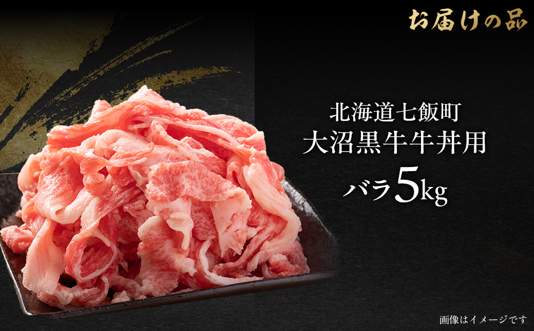 大沼黒牛牛丼用（バラ5kg） 【ふるさと納税 人気 おすすめ ランキング 北海道ブランド牛 大沼黒牛 黒毛和牛 バラ肉 冷凍 牛丼 おいしい 北海道 七飯町】 NAM036
