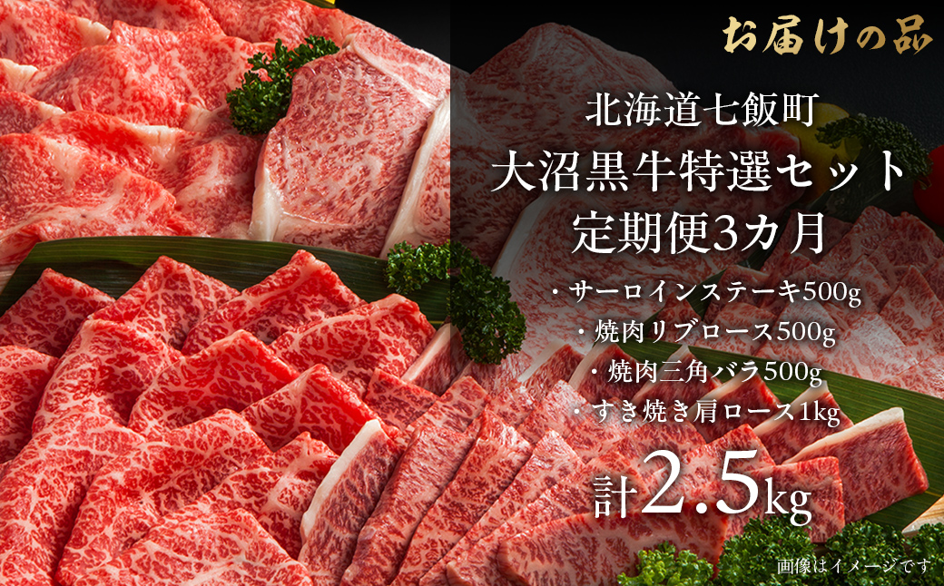 定期便セット定期3カ月　大沼黒牛の特選セット 【ふるさと納税 人気 おすすめ ランキング 北海道ブランド牛 大沼黒牛 黒毛和牛 サーロイン リブロース 焼肉 肩ロース おいしい 北海道 七飯町】 NAM059