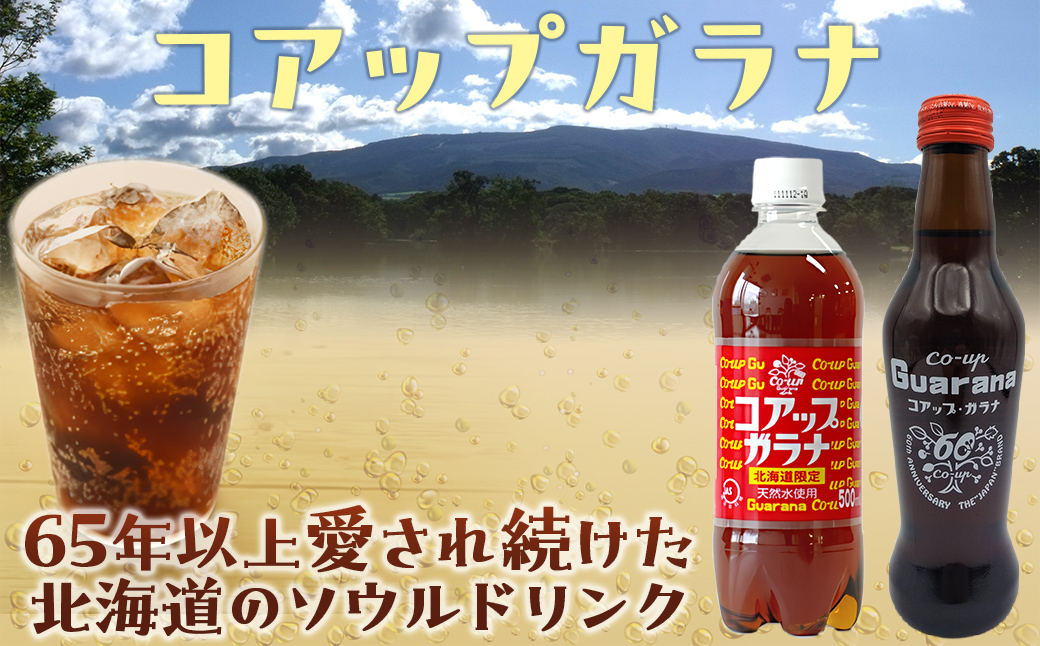 コアップガラナ48本セット 道産子ソウルドリンク！ファンに大人気