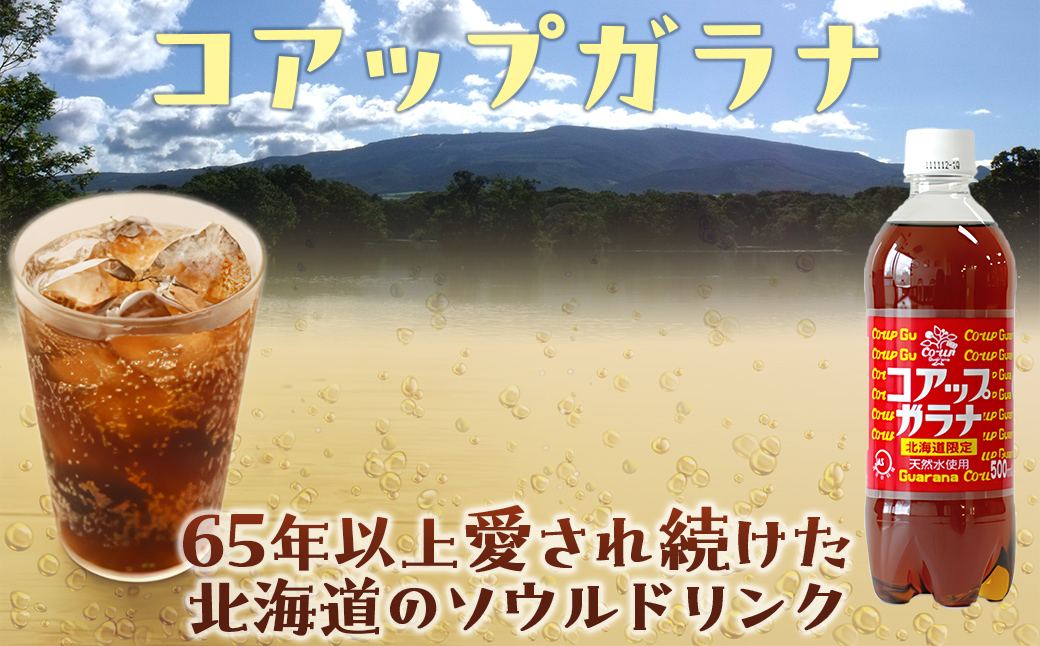 コアップガラナ24本セット（500mlペットボトル） NAQ003