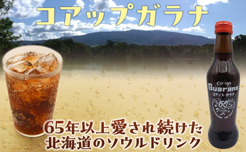 コアップガラナ24本セット（230ml瓶） NAQ004