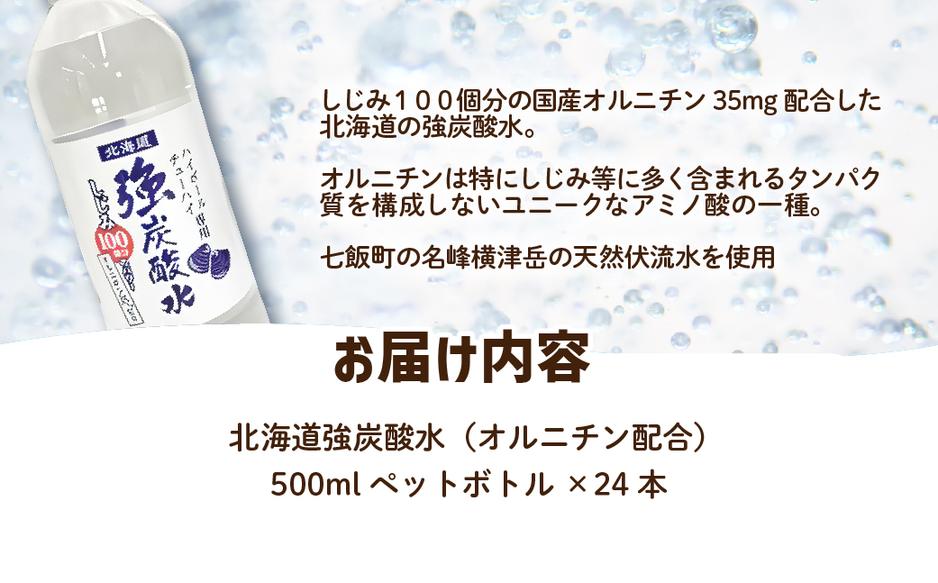 【先行予約】【2026年1月20日より順次発送】北海道強炭酸水（オルニチン配合）（500mlペットボトル） NAQ011