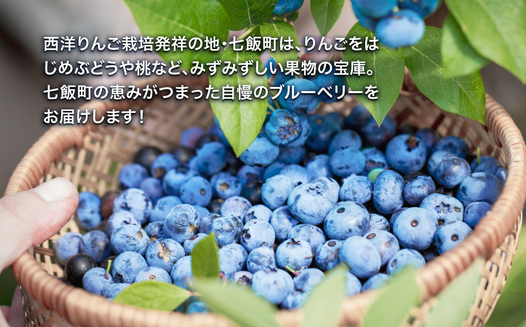 【先行予約】 令和7年7月下旬頃より発送  北海道七飯町産 生ブルーベリー 500g×2パック NAR001