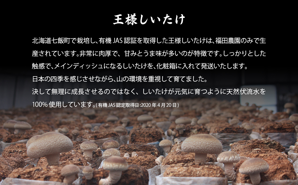 王様しいたけバラエティセット（6種7個） 福田農園 NAT003