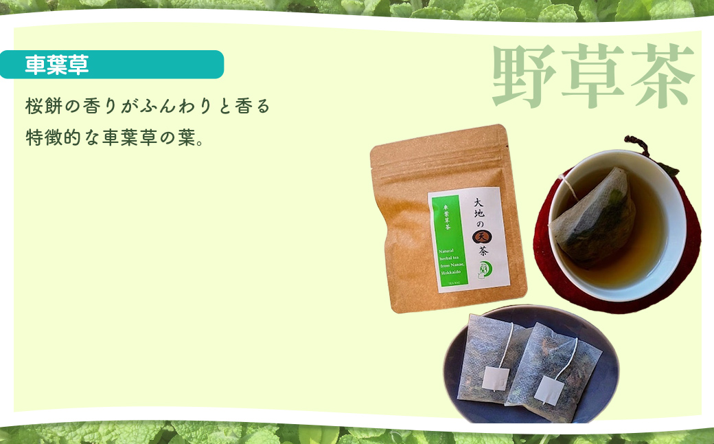 こだわりハーブティー 野草茶と野草袋 人気商品詰め合わせセット NAAC002