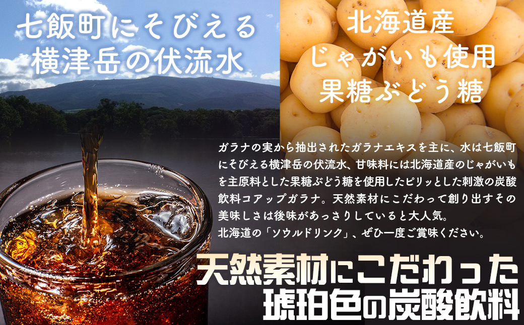 コアップガラナ48本セット 道産子ソウルドリンク！ファンに大人気！ NAQ001