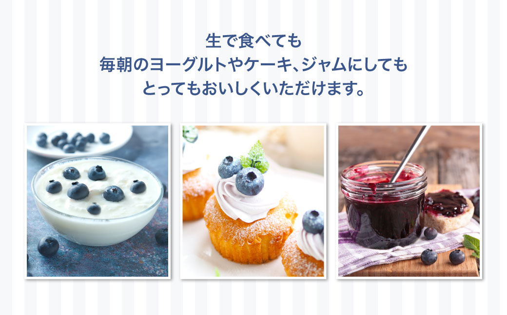 【先行予約】 令和7年7月下旬頃より発送  北海道七飯町産 生ブルーベリー 500g×2パック NAR001