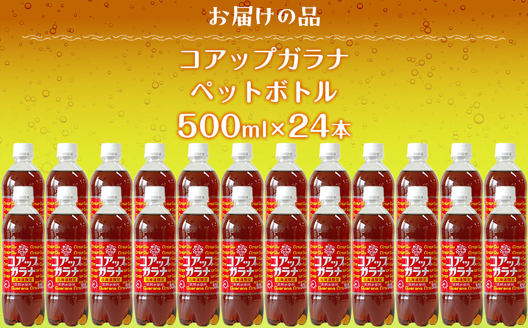 コアップガラナ24本セット（500mlペットボトル） NAQ003