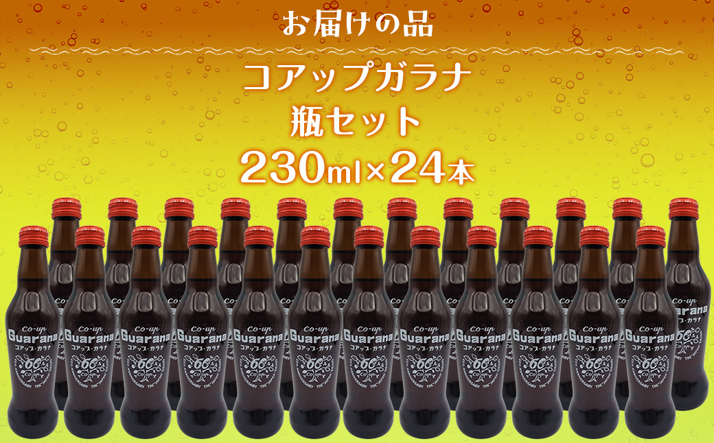 コアップガラナ24本セット（230ml瓶） NAQ004