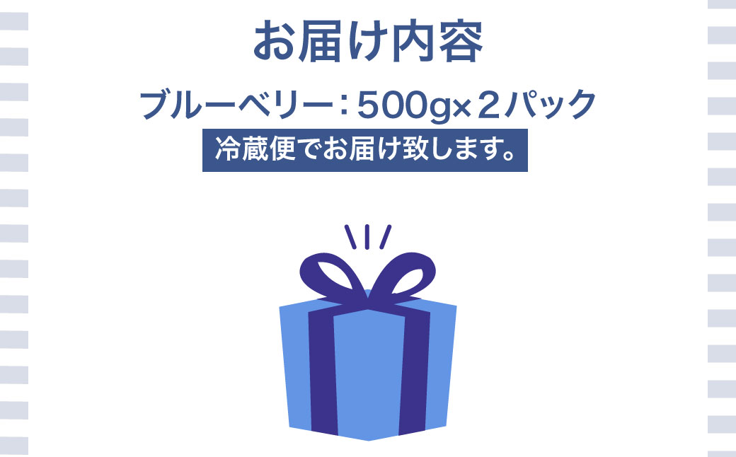 【先行予約】 令和7年7月下旬頃より発送  北海道七飯町産 生ブルーベリー 500g×2パック NAR001