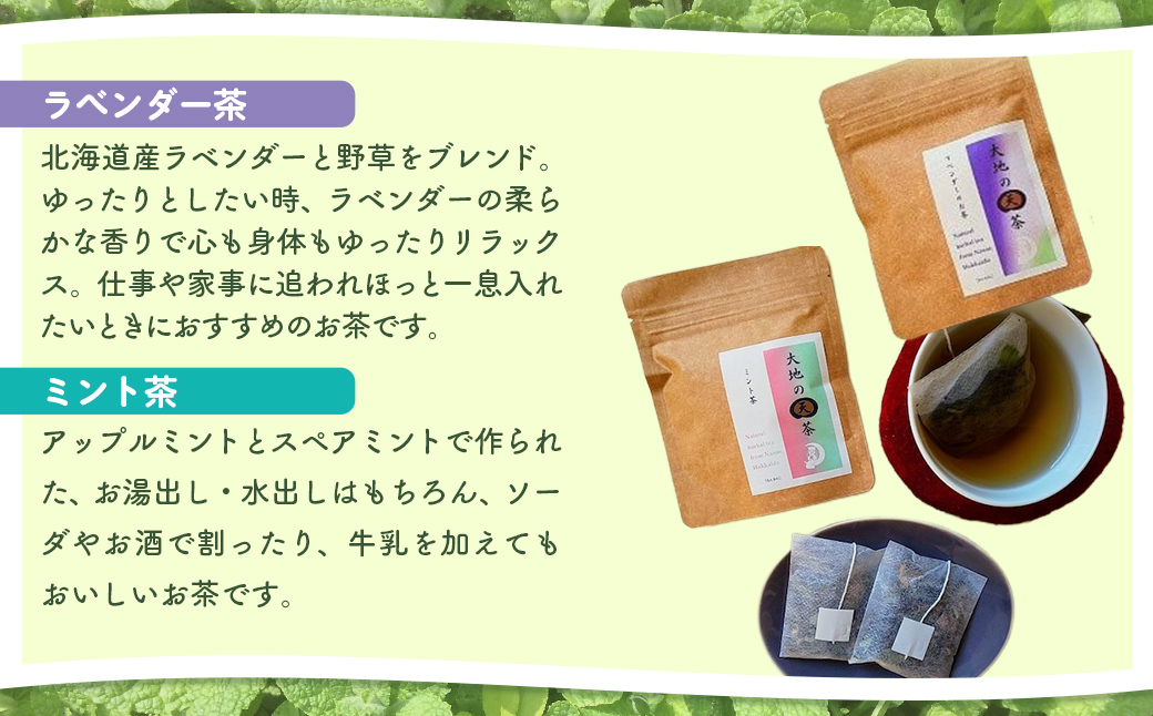 こだわりハーブティー 野草茶と野草袋 人気商品詰め合わせセット NAAC002