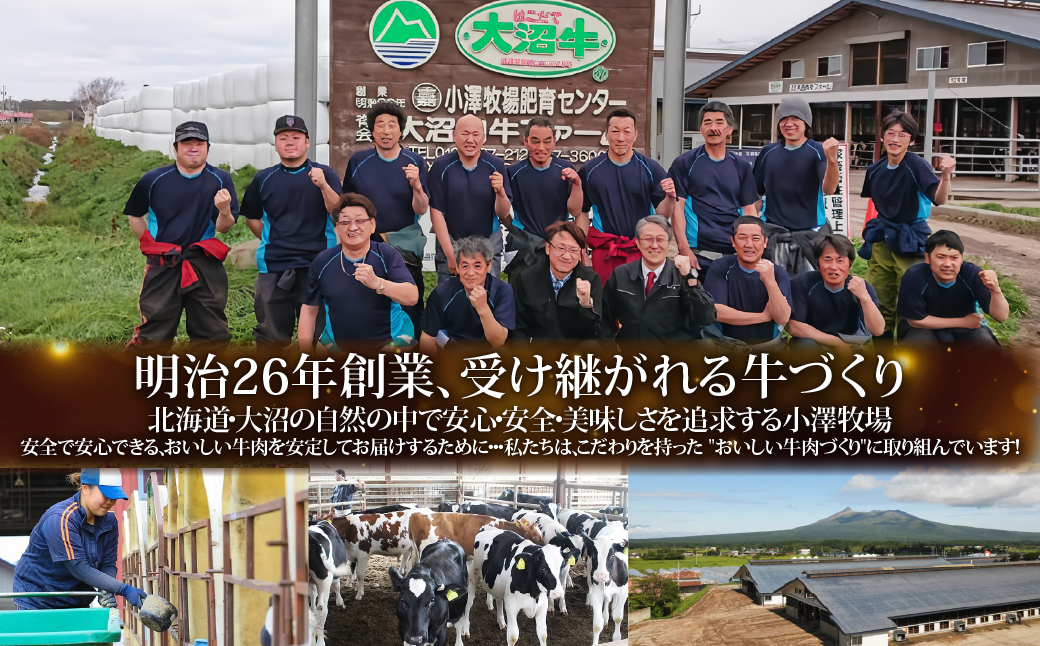 定期便セット定期3か月　【北海道ブランド牛】大沼黒牛の特選セット NAM059