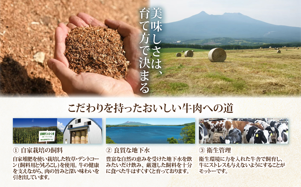 定期便セット定期3か月　【北海道ブランド牛】大沼黒牛の特選セット NAM059