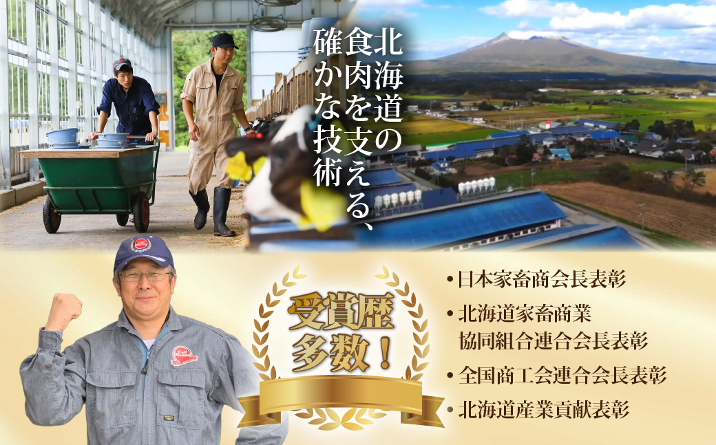 定期便セット定期3か月　【北海道ブランド牛】大沼黒牛の特選セット NAM059