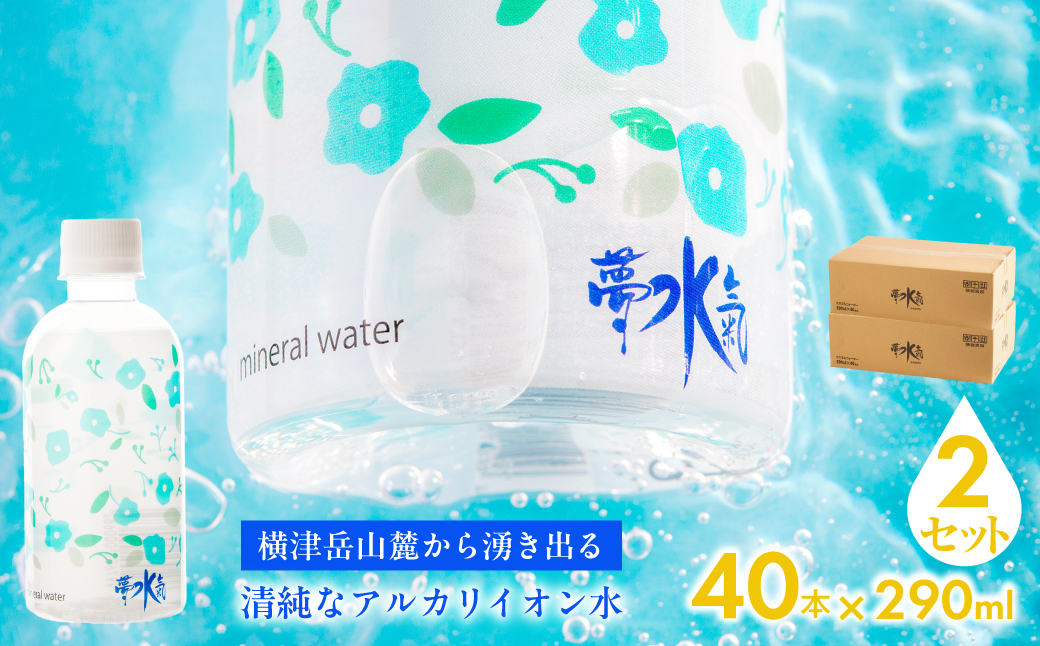 ミネラルウォーター夢水氣（290ml×40本）2セット 天然アルカリイオン水 軟水 NABI004