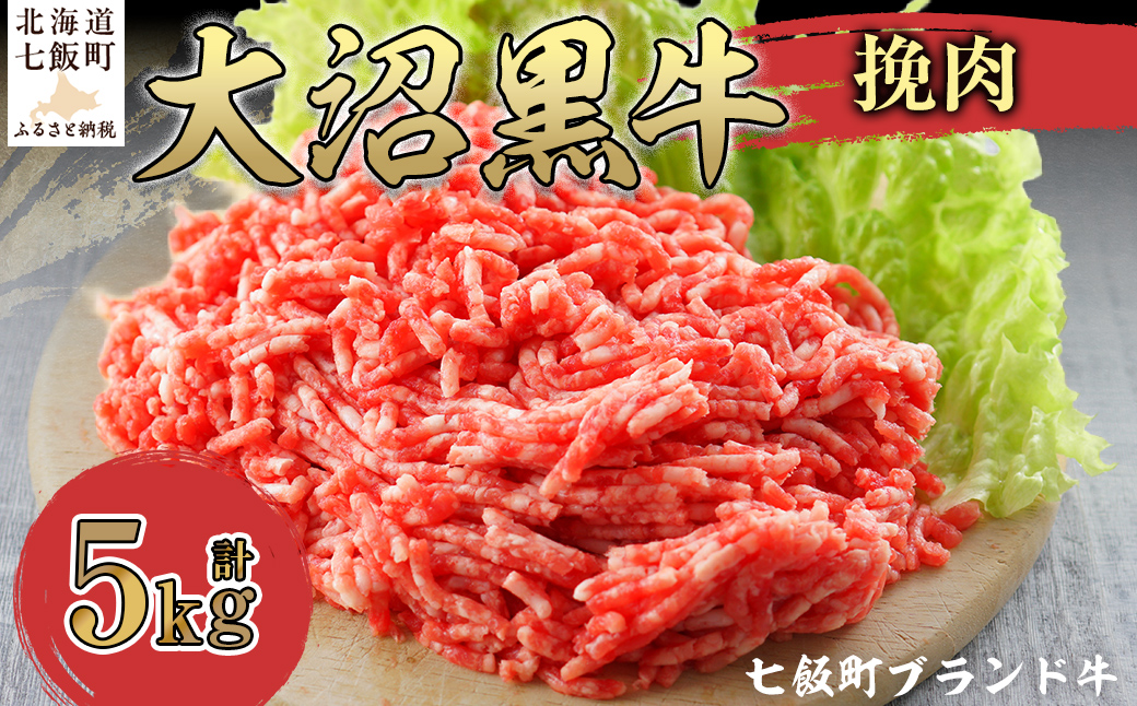 大沼黒牛挽肉　5kg 【ふるさと納税 人気 おすすめ ランキング 北海道ブランド牛 大沼黒牛 黒毛和牛 冷凍 挽肉 ハンバーグ おいしい 北海道 七飯町】 NAM012