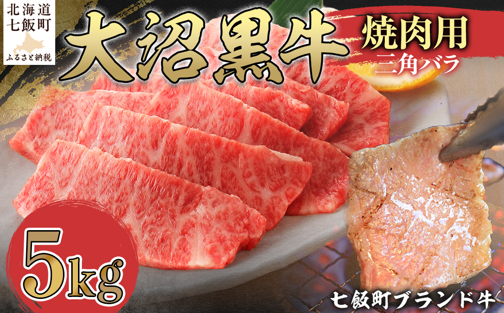 大沼黒牛焼き肉用（三角バラ5kg） 【ふるさと納税 人気 おすすめ ランキング 北海道ブランド牛 大沼黒牛 黒毛和牛 リブロース 冷凍 焼肉 おいしい 北海道 七飯町】 NAM044