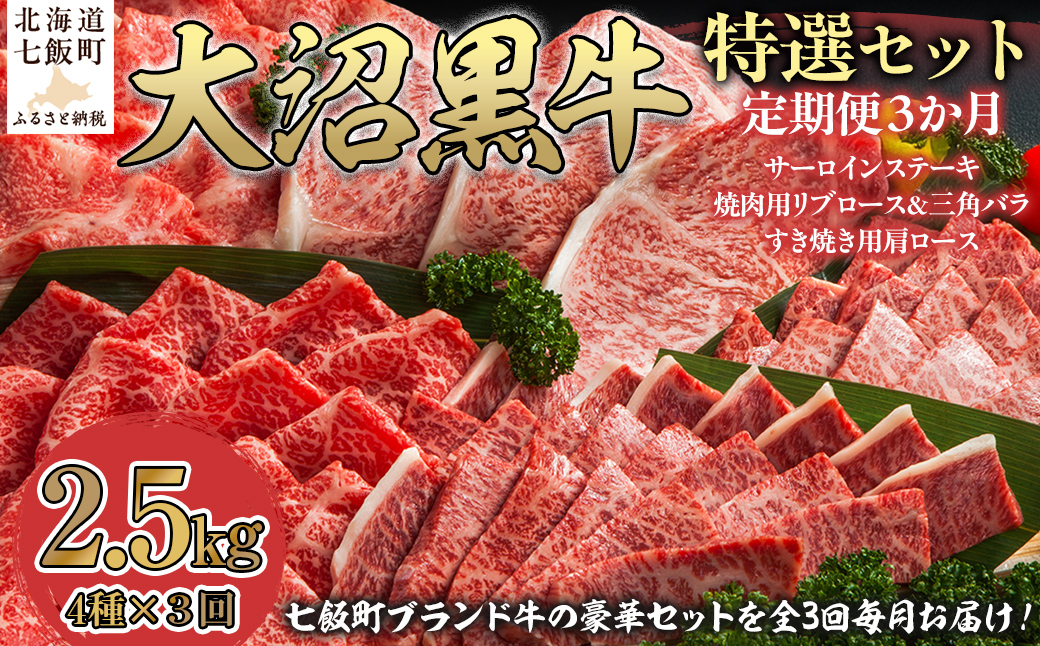 定期便セット定期3カ月　大沼黒牛の特選セット 【ふるさと納税 人気 おすすめ ランキング 北海道ブランド牛 大沼黒牛 黒毛和牛 サーロイン リブロース 焼肉 肩ロース おいしい 北海道 七飯町】 NAM059