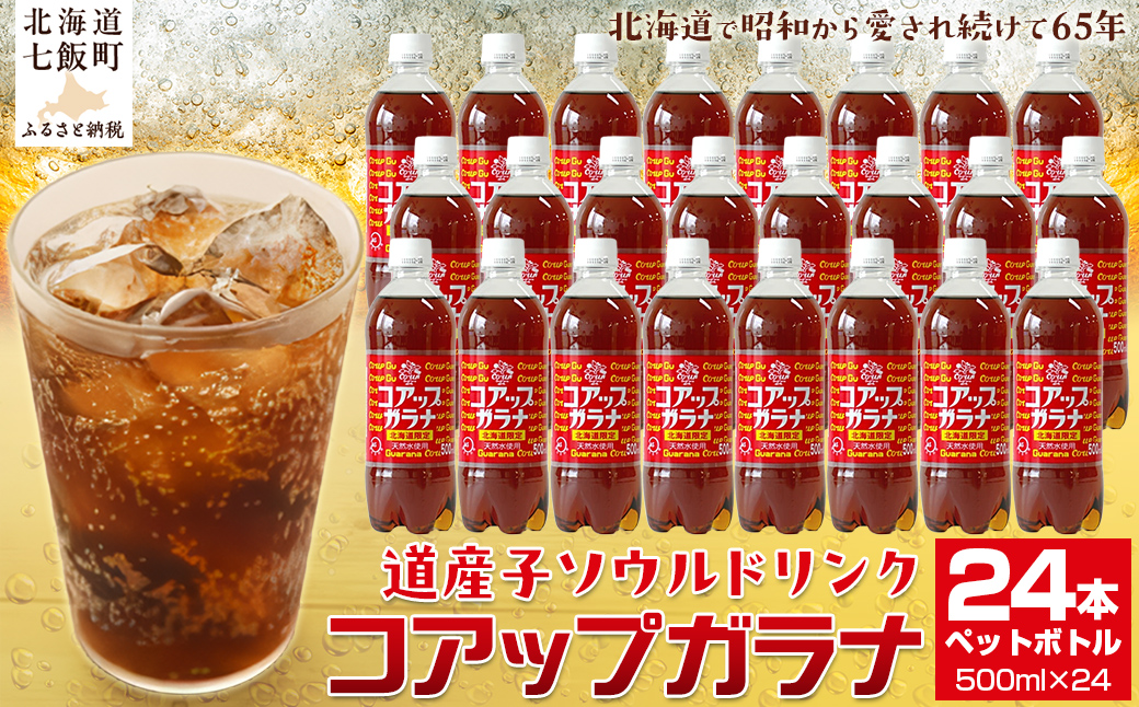 コアップガラナ24本セット（500mlペットボトル） NAQ003