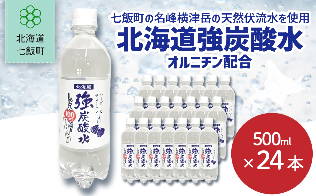 【先行予約】【2026年1月20日より順次発送】北海道強炭酸水（オルニチン配合）（500mlペットボトル） NAQ011