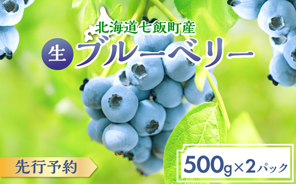 【先行予約】 令和7年7月下旬頃より発送  北海道七飯町産 生ブルーベリー 500g×2パック NAR001