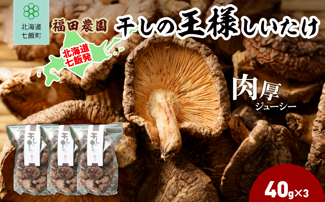 干しの王様しいたけ 40g×3袋 NAT008