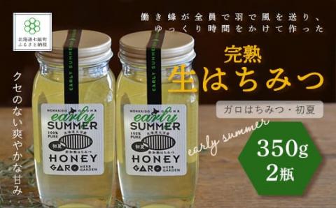 完熟生はちみつ ガロはちみつ・初夏(アカシア)（350g）2瓶セット 大容量サイズ NAAB004
