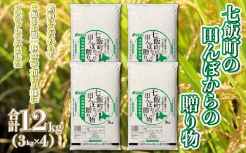 令和6年産（2024年産） 七飯町の田んぼからの贈り物3kg×4 NAAQ002