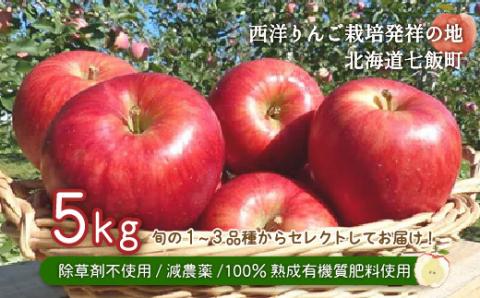 北海道七飯町産 りんご 5kg 有機質肥料使用